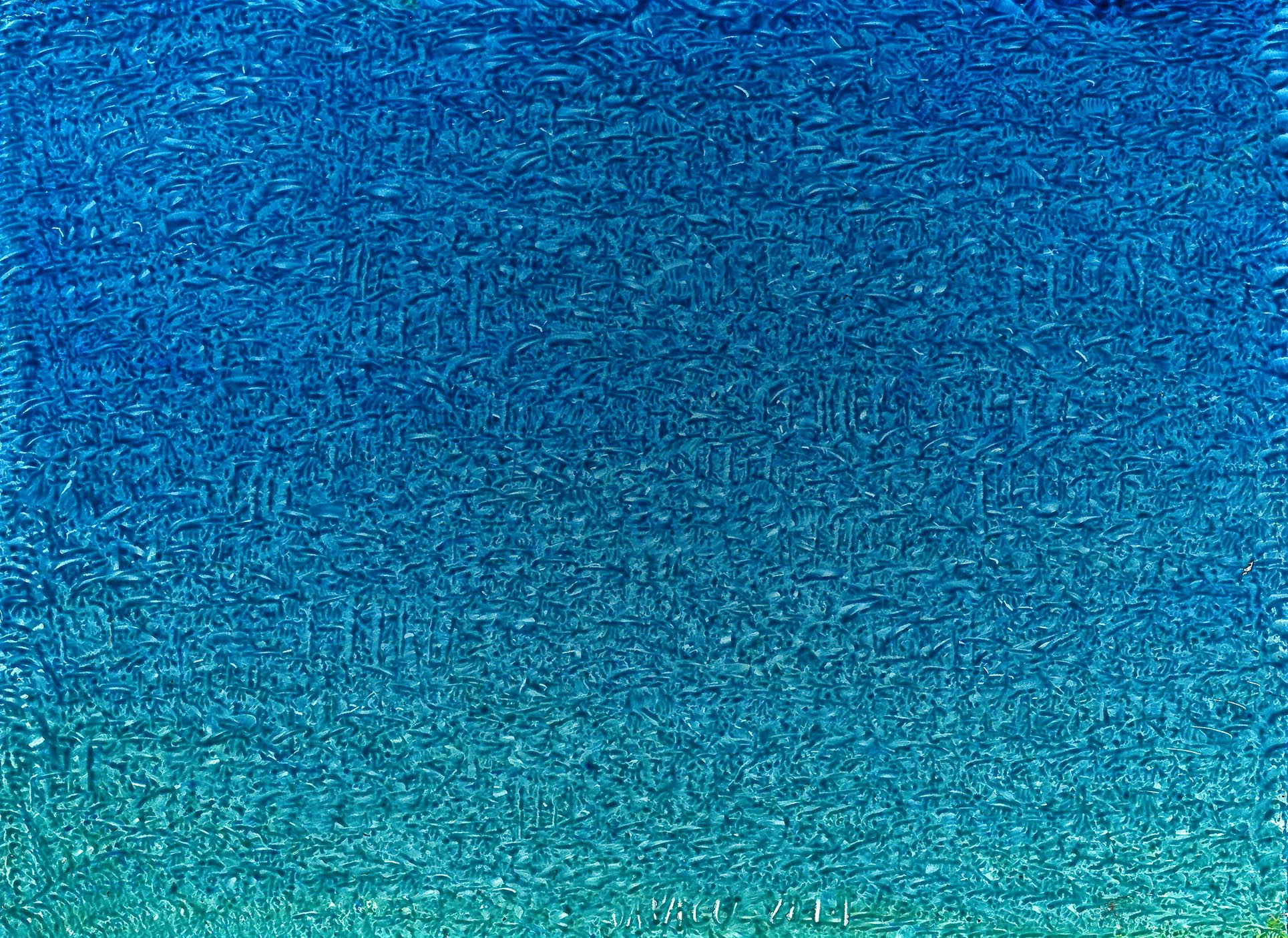 Austin Art