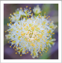 Austin Photographer