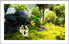 Austin Landscaping